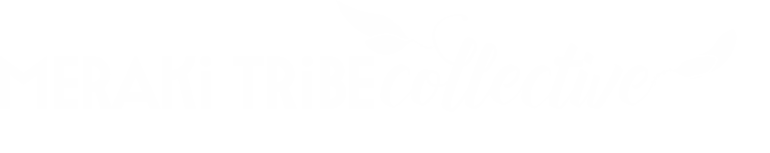 Meraki Tribe Collective Welcome Hub 